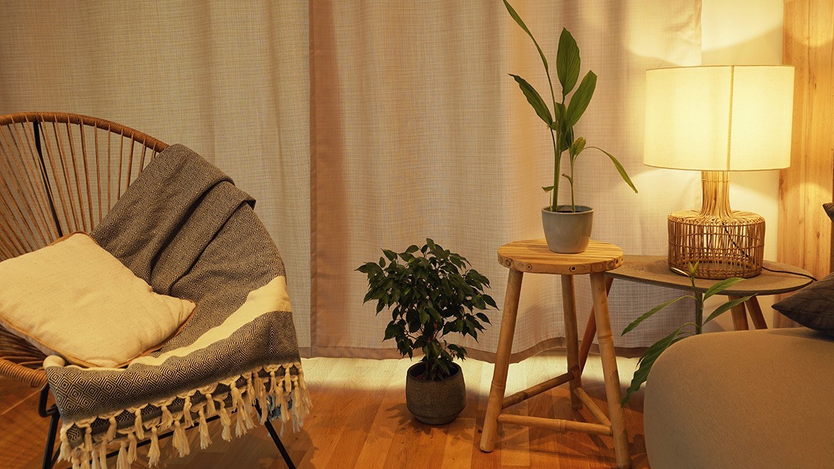 Jak vybrat tu správnou žárovku?