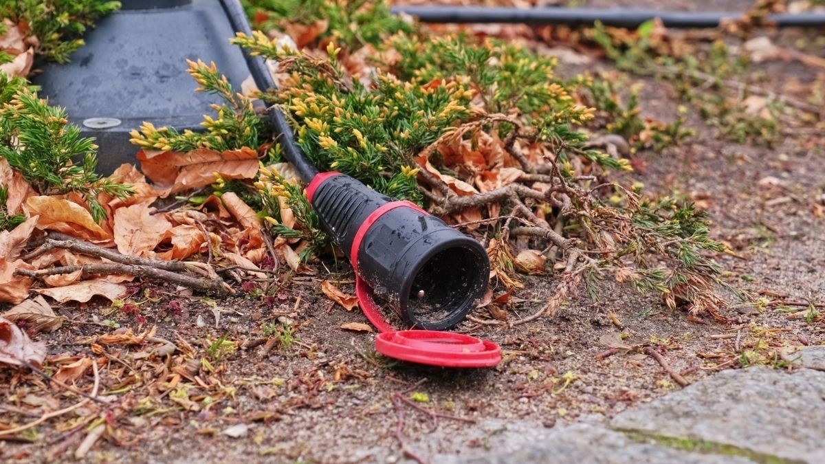 Hogyan készítsük elő a kertet a télre?