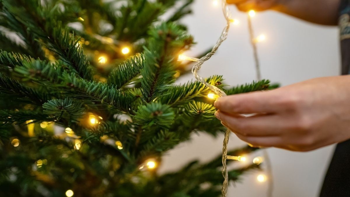 Božična razsvetljava: kako jo pravilno razvozlati, obesiti in shraniti
