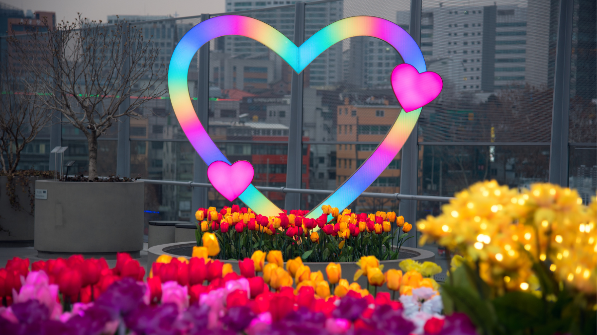 Romantische Beleuchtung – nicht nur für den Valentinsabend
