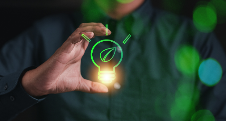 Gdzie wyrzucać stare lub zepsute żarówki i co się z nimi dzieje?