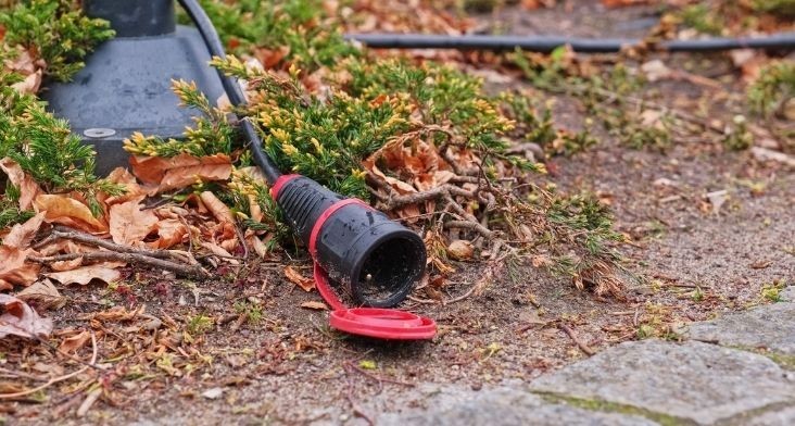 Jak przygotować ogród na zimę?