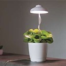 Osvetlenie na pestovanie rastlín