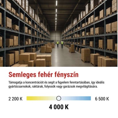 EMOS LED porálló lámpa DUSTY 50W IP65 6500lm természetes fehér