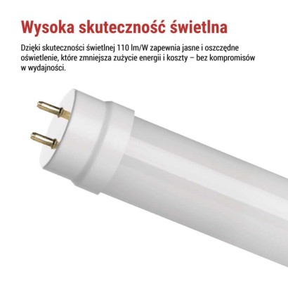 Żarówka LED liniowa T8 9 W 60 cm neutralna biel 25 szt.
