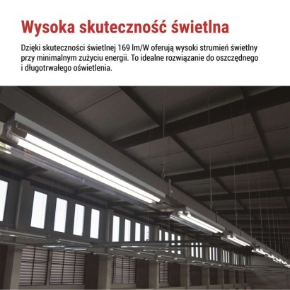 Żarówka LED liniowa T8 6,5 W 60 cm neutralna biel 10 szt.