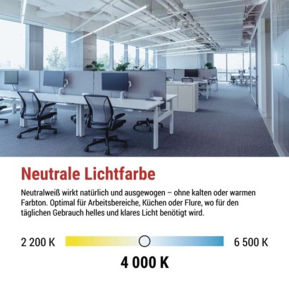 LED-Leuchtstofflampe T8 6,5 W 60 cm neutralweiß 10 St.