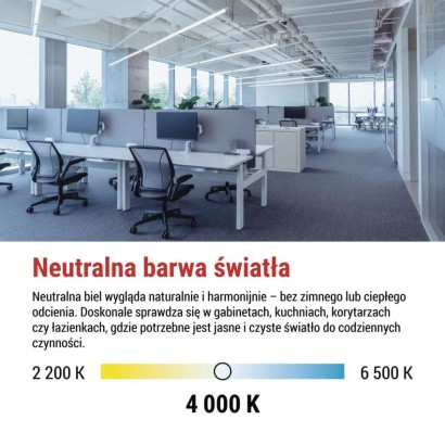 Żarówka LED liniowa T8 6,5 W 60 cm neutralna biel 10 szt.