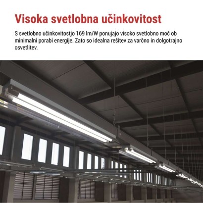 LED cev T8 6,5 W 60 cm Hladna bela 10 kos.