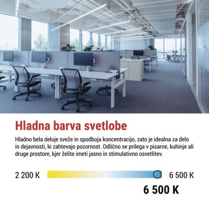 LED cev T8 6,5 W 60 cm Hladna bela 10 kos.