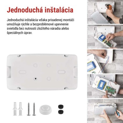 LED Núdzové svietidlo NESSI 10W 3h IP66