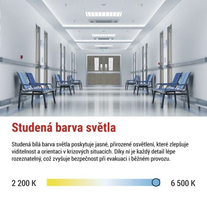 LED Nouzové svítidlo NESSI 10W 3h IP66