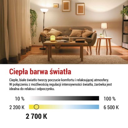 Żarówka LED Filament A60 / E27 / 7,5 W (75 W) / 1 055 lm / ciepła biel / ściemnialna