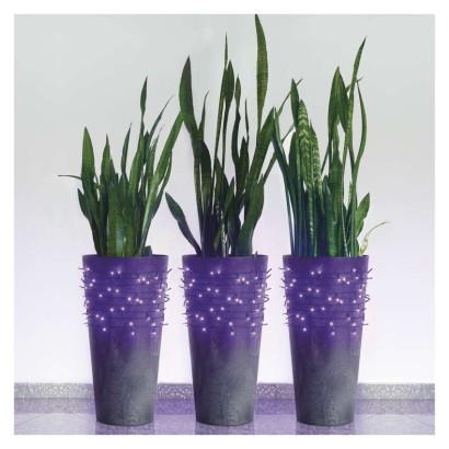 Standard LED sorolható karácsonyi füzér, 10 m, kültéri és beltéri, lila