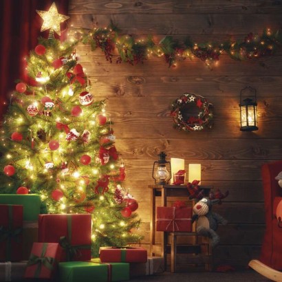 #MECHANICAL TIMER P5523N SCHUKO