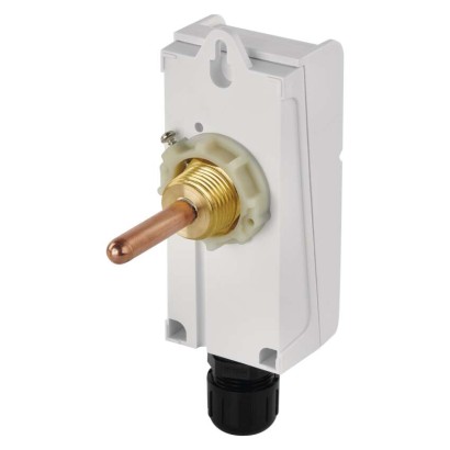 Termostat z sondą zanurzeniową P5686
