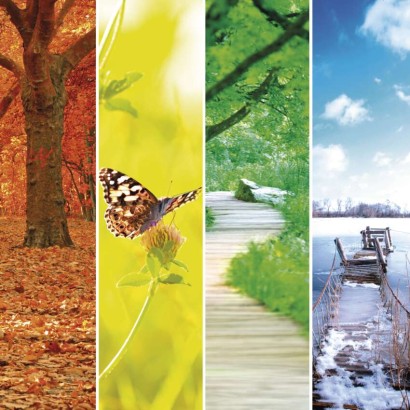 Digitální bezdrátový teploměr E0107