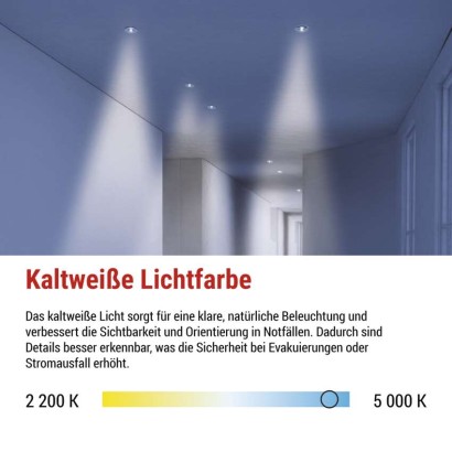 LED-Notleuchte 6W 450LM 3H