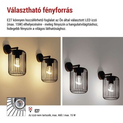 Kerti fali lámpa SALVIA, 20,8 x 16 x 28,5 cm, 1 x E27, 15 W