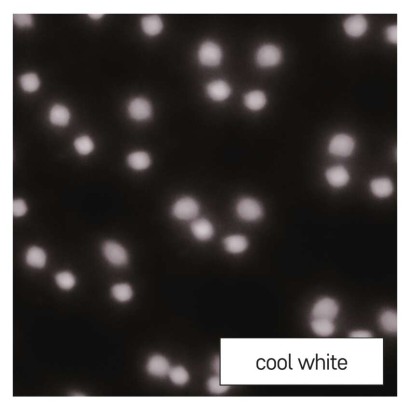 LED dekoratívny projektor – padajúce vločky, vonkajší aj vnútorný, biela