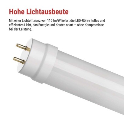 LED-Leuchtstofflampe T8 9 W 60 cm Kalt-Weiß 25 St.