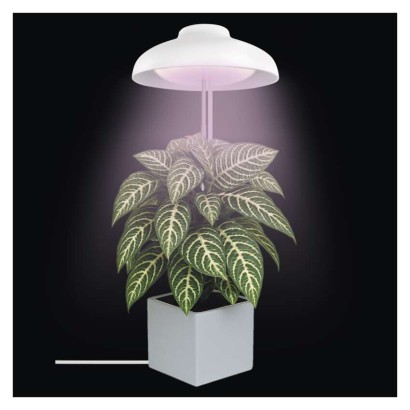 Lampa LED GROW do uprawy roślin 5 W, timer, biała