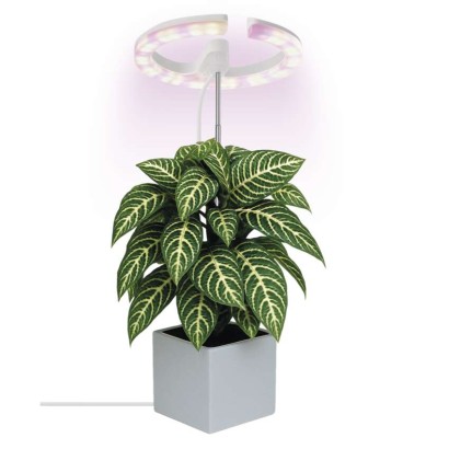 LED svetilka za rastline, polni spekter, 39 LED diod, notranja, časovnik, zatemnljiva