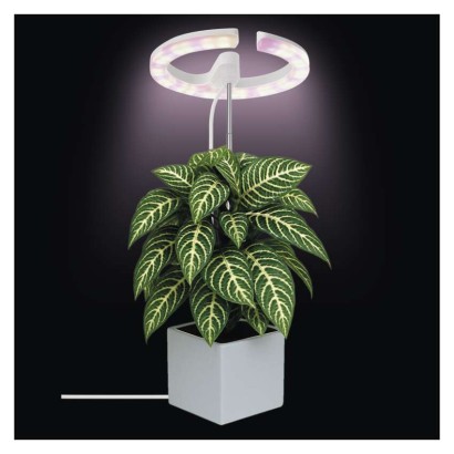 LED svetilka za rastline, polni spekter, 39 LED diod, notranja, časovnik, zatemnljiva