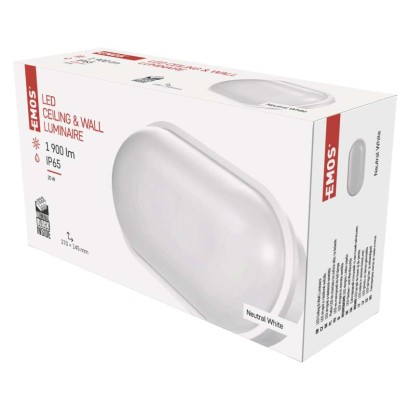 LED Wandleuchte, oval, weiss 20W neutralweiss, IP65