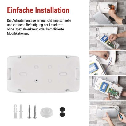 LED-Notleuchte 10W 3H IP66