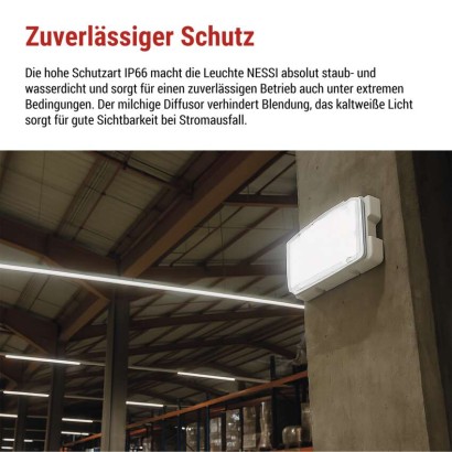 LED-Notleuchte 10W 3H IP66