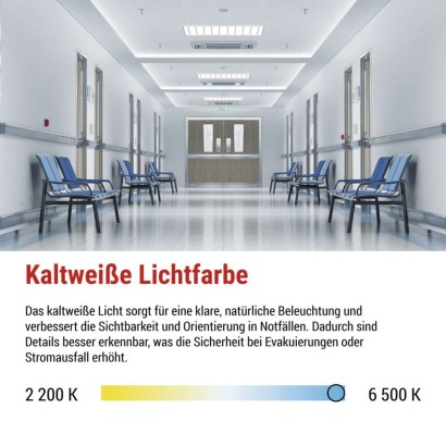 LED-Notleuchte 10W 3H IP66