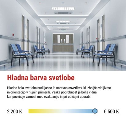 Zasilno LED svetilo NESSI, 3W, 3h, IP66