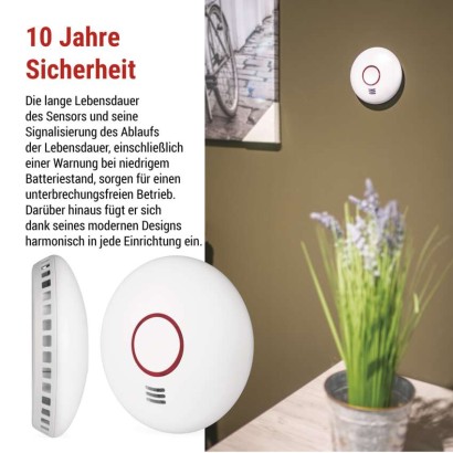 Rauchmelder GS558
