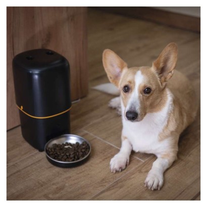 GoSmart dozirnik hrane za hišne živali Pet Care 4 l, črn, Wi-Fi