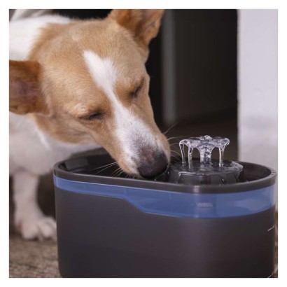 Wasserbrunnen Pet Care, 2,6 l, grau