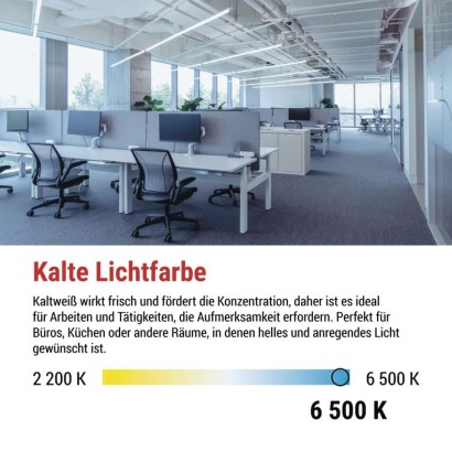 LED-Leuchtstofflampe T8 6,5 W 60 cm Kalt-Weiß 10 St.