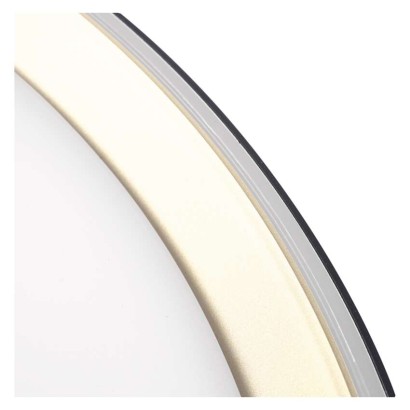 LED přisazené svítidlo ILVI, kruhové 30W, stmívání+CCT, černá+champagne