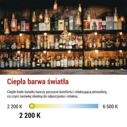 Żarówka LED Vintage G125 / E27 / 4,5 W (40 W) / 420 lm / 420 lm / Ciepła biel