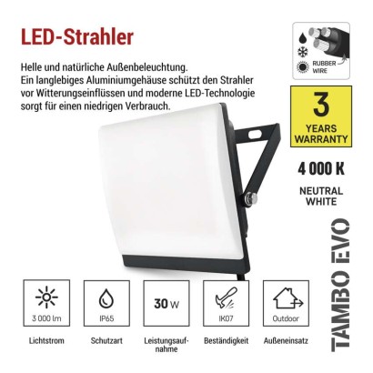 LED-Fluter TAMBO EVO, 30 W, 3000 lm, IP65, schwarz