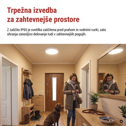 LED stropno svetilo FLERI, okroglo, 20W, IP65, nastavljiva CCT