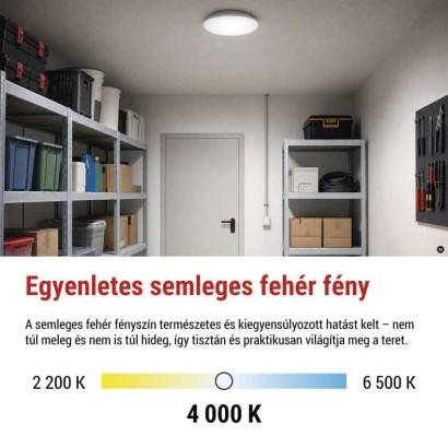 EMOS LED mennyezeti lámpa DORI EVO, 24W, Természetes fehér