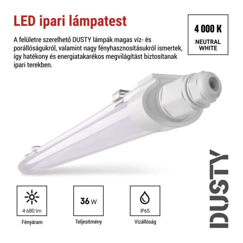 EMOS LED porálló lámpa DUSTY 36W IP65 4680lm természetes fehér