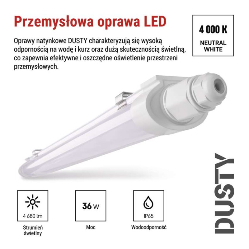 Oprawa natynkowa LED DUSTY, naścienna, 36W, NW, IP65