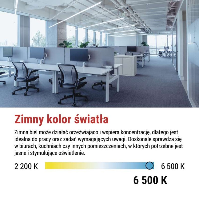Żarówka LED liniowa T8 9 W 60 cm Zimna biel 25 szt.