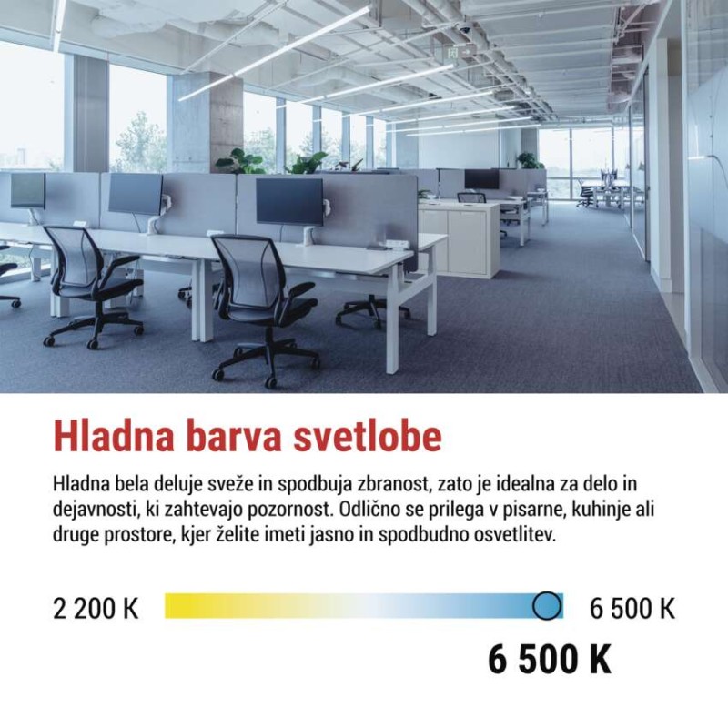 LED cev T8 9 W 60 cm Hladna bela 25 kos
