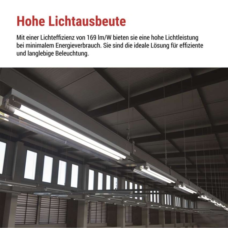LED-Leuchtstofflampe T8 6,5 W 60 cm neutralweiß 10 St.
