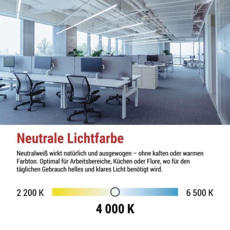 LED-Leuchtstofflampe T8 6,5 W 60 cm neutralweiß 10 St.