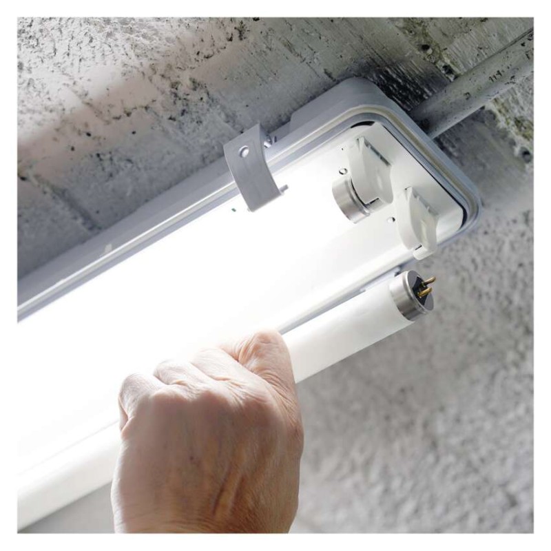 Żarówka LED liniowa T8 6,5 W 60 cm neutralna biel 10 szt.