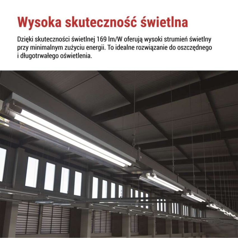 Żarówka LED liniowa T8 6,5 W 60 cm Zimna biel 10 szt.
